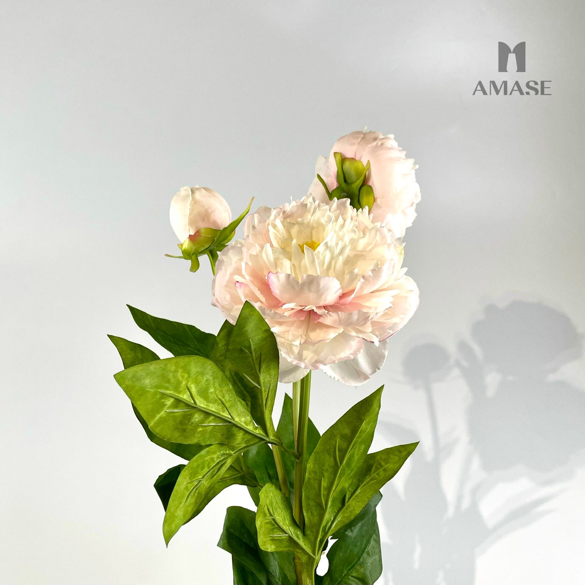 Hoa mẫu đơn lụa hồng nhạt – AMASE - Modern and Elegant Decor