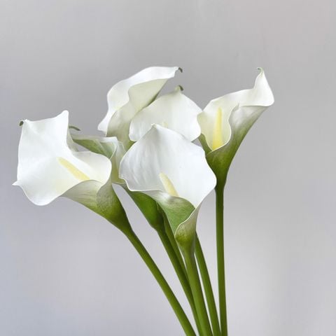 Hoa vân môn lụa trắng cuống dài