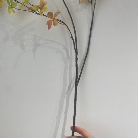 Cành lá trang trí thân lớn
