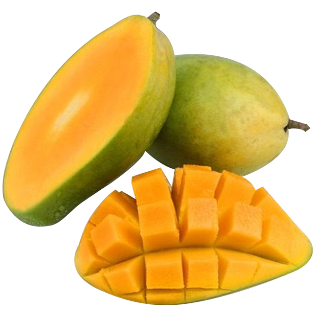 Xoài Tứ Quý – Safefruits - Trái Cây An Toàn Xoài Tứ Quý – Safefruits - Trái Cây An Toàn