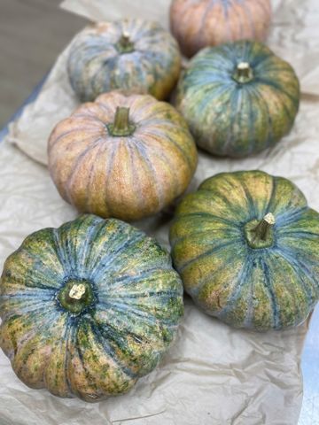  Bí đỏ tròn giống Thái Lan (kg) 