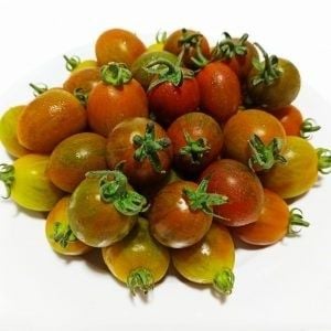  Cà chua trái cây socola Hữu cơ (Hộp 250g) 