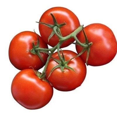  Cà chua Beef trung Hữu cơ (450-550g) 