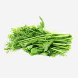  Đọt Su su (Gói 500g) 
