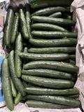  Dưa leo giống Nhật Hữu cơ (450-550g/túi) 