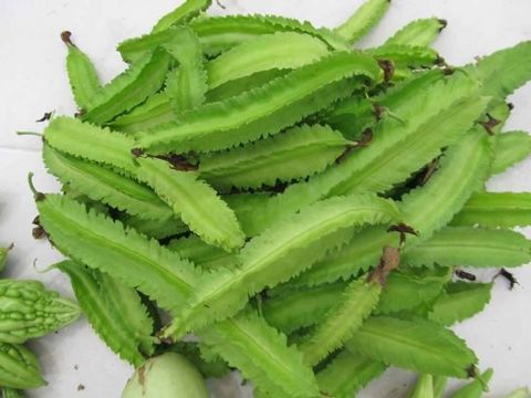  Đậu rồng Hữu cơ (Vi 200g) 