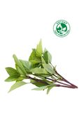  Húng quế VietGAP (Gói 100g) 