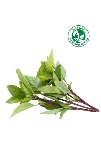  Húng quế VietGAP (Gói 100g) 