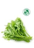  Rau tần ô/ Cải cúc (Gói 300g) 
