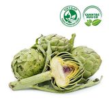  Bông Atiso tươi (350-400g/bông) 