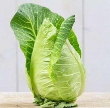  Bắp cải trái tim Hữu cơ (650-750g/bắp) 