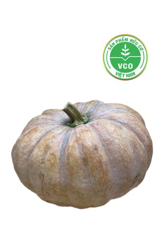  Bí đỏ tròn giống Thái Lan (kg) 