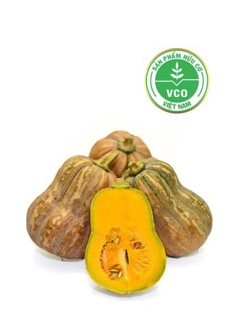  Bí đỏ hồ lô hữu cơ (850-950g/trái) 