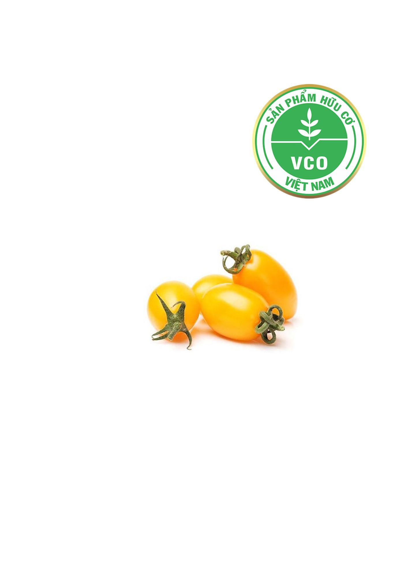  Cà chua trái cây vàng Hữu cơ (Hộp 250g) 
