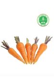 Cà rốt Hữu cơ (450-550g/vĩ) 