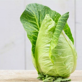  Bắp cải trái tim (450-550g/bắp) 
