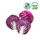  Bắp cải tím (400-500g/bắp) 