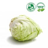  Bắp cải trái tim (450-550g/bắp) 