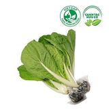  Cải bẹ dún TC (Gói 500g) 