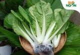  Cải bẹ dún TC (Gói 500g) 