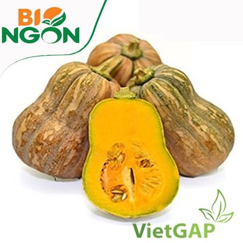  Bí đỏ VietGAP (Kg) 