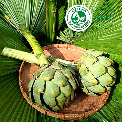  Bông Atiso tươi (500-600g/bông) 