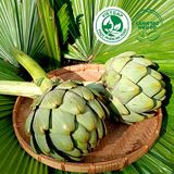  Bông Atiso tươi (420-470g/bông) 