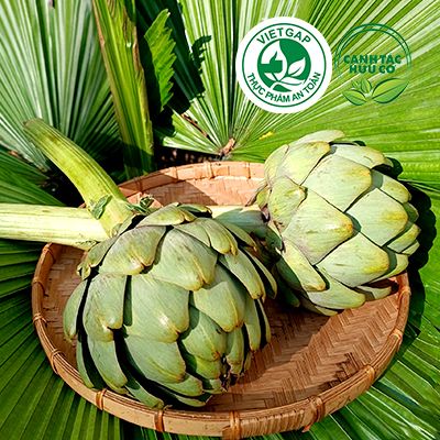  Bông Atiso tươi (420-470g/bông) 