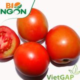  Cà chua trứng VietGAP (450-550g/vỉ) 
