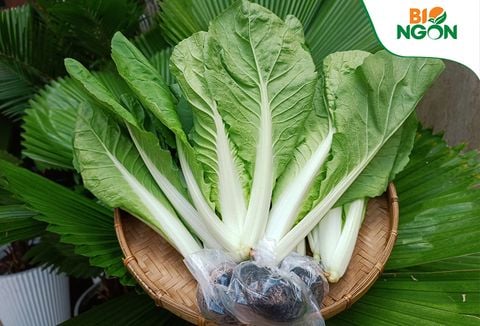  Cải bẹ dún VietGAP (Gói 250g) 