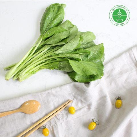 rau cải ngọt hữu cơ bio ngon
