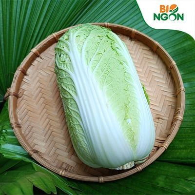  Cải thảo (800-900g/bắp) 