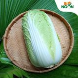  Cải thảo (1000-1100g/bắp) 