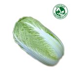  Cải thảo (600-700g/bắp) 