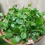  Xà lách xoong (450-550g/gói) 