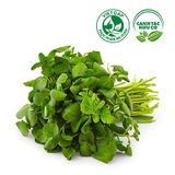  Xà lách xoong (450-550g/gói) 