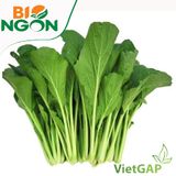  Cải ngọt VietGAP (Gói 300g) 