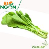  Cải ngọt VietGAP (Gói 300g) 