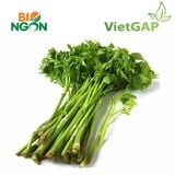  Cần nước VietGAP (Gói 300g) 