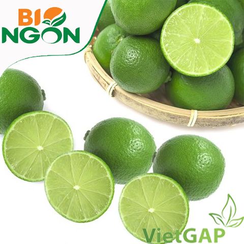 Chanh không hạt VietGAP (450-550g/vỉ) 