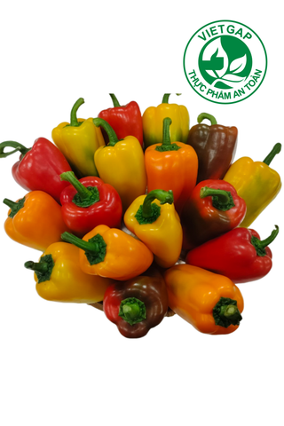  Ớt chuông baby (Vỉ 300-350g) 