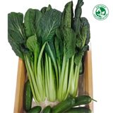  Cải ngọt nhật (Gói 300g) 