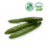  Dưa leo giống Nhật (350-400g/trái) 