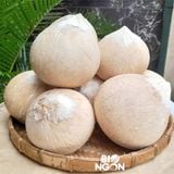  Dừa xiêm trọc Bến Tre size M (450-600g/trái) 
