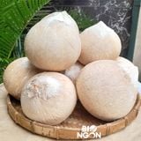  Dừa xiêm trọc Bến Tre size M (500-600g/trái) 