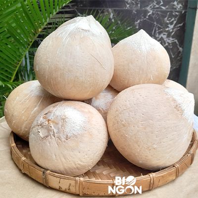  Dừa xiêm trọc Bến Tre size M (500-600g/trái) 