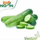 Dưa leo ta VietGAP (450-550g/vỉ) 
