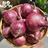  Củ hành tây tím ( 450-550g/túi) 