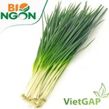  Hành lá VietGAP (Gói 100g) 