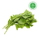  Húng cây Hữu cơ (Gói 50g) 